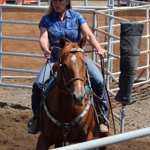 Meet your Posher, Terry kayring